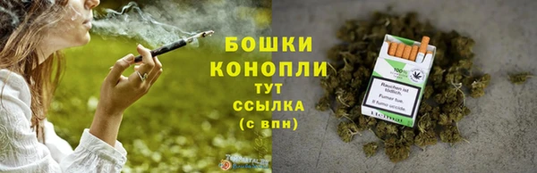 индика Володарск