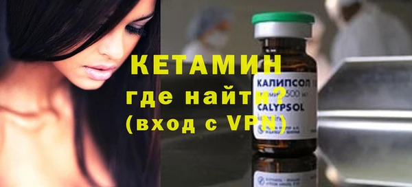 индика Володарск