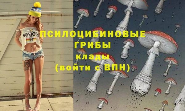 соль ск Волосово