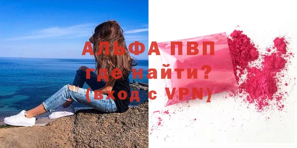 СК Вязьма