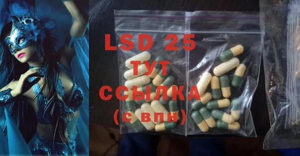 индика Володарск