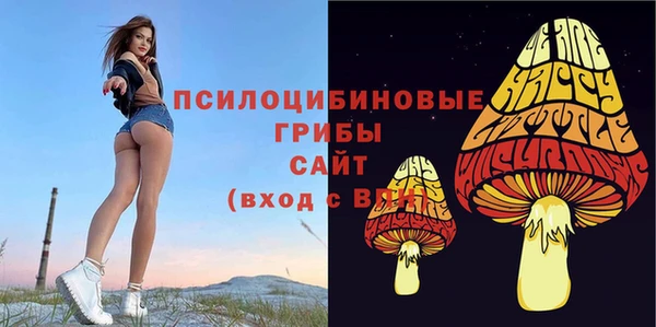 соль ск Волосово