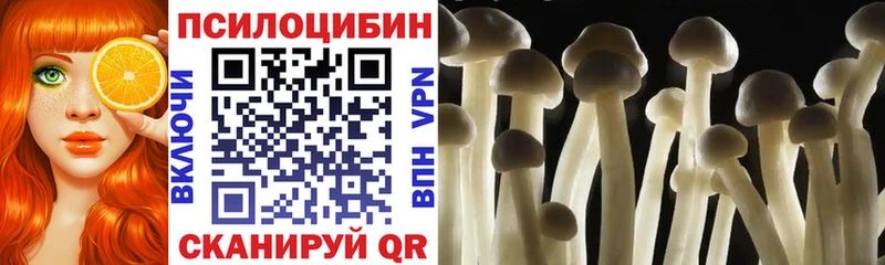 цена   Каменногорск  Галлюциногенные грибы Magic Shrooms 